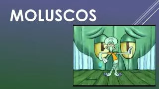moluscos