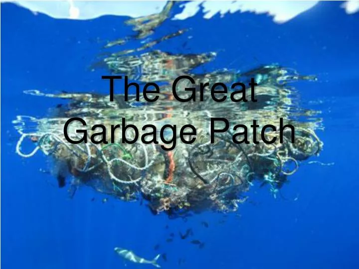 the great garbage patch