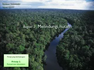 Bagian 2: Melindungi hutan