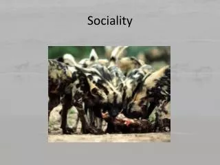 Sociality