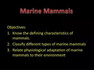 Objectives: Know the defining characteristics of mammals.