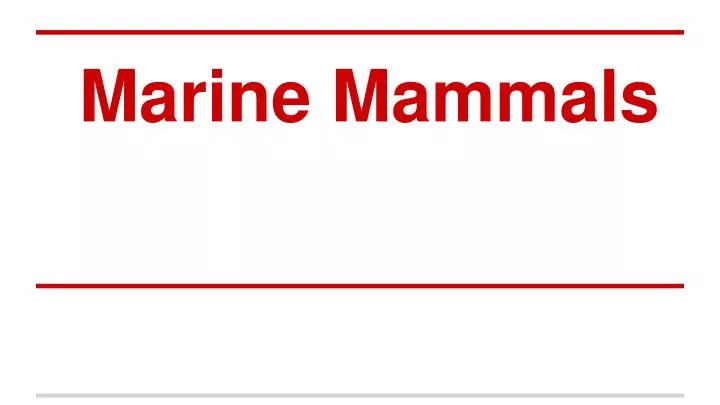 marine mammals