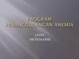 program penanggulangan anemia