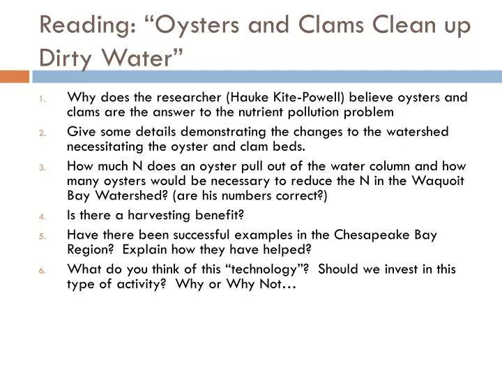 reading oysters and clams clean up dirty water