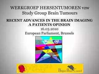 WERKGROEP HERSENTUMOREN vzw Study Group Brain Tumours