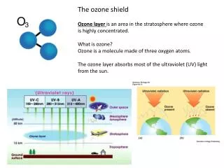 The ozone shield Ozone layer is an area in the stratosphere where ozone is highly concentrated.