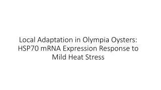 Local Adaptation in Olympia Oysters: HSP70 mRNA Expression R esponse to Mild Heat Stress