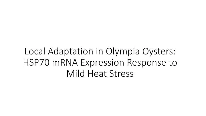 local adaptation in olympia oysters hsp70 mrna expression r esponse to mild heat stress
