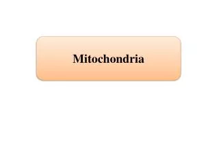 Mitochondria