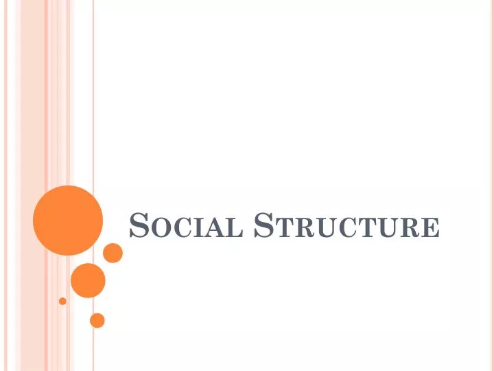 social structure