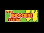 Thyroid and parathyroid - slide 1