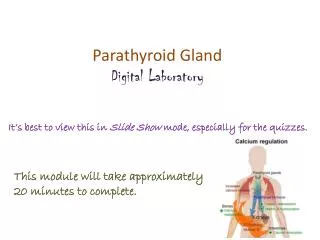 Parathyroid Gland Digital Laboratory