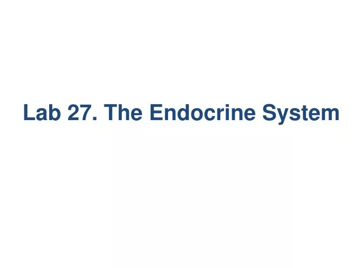 lab 27 the endocrine system