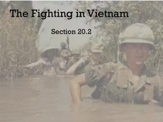 the fighting in vietnam