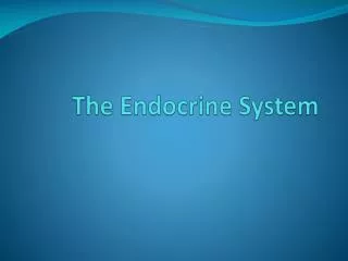 the endocrine system