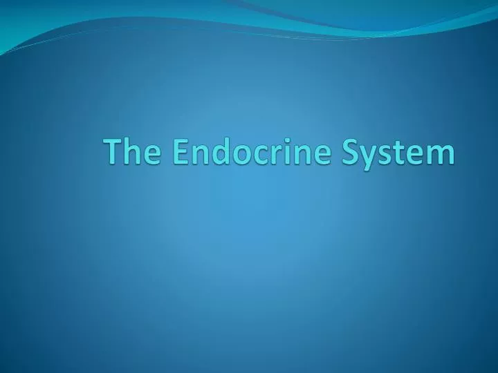 the endocrine system