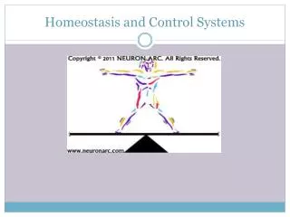 homeostasis and control systems