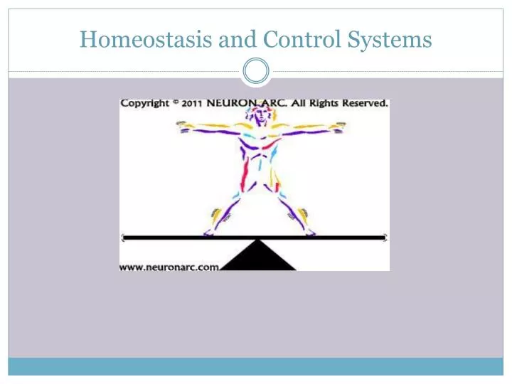 homeostasis and control systems