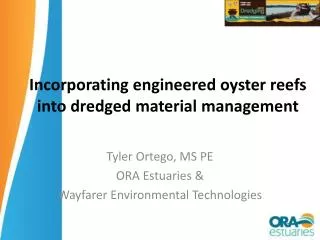 Incorporating engineered oyster reefs into dredged material management
