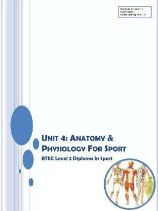 Unit 4: Anatomy &amp; Physiology For Sport