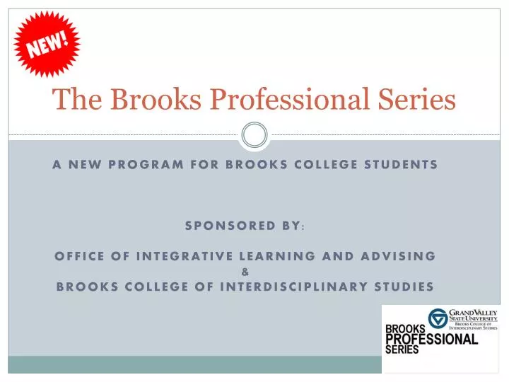 the brooks professional series