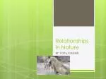 Relationships in Nature - slide 1