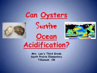 Question : Can Oysters Survive Ocean Acidification ?