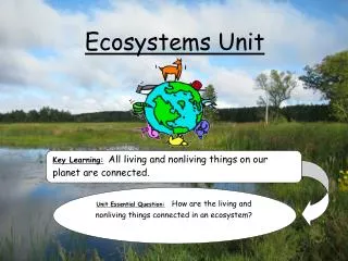 Ecosystems Unit
