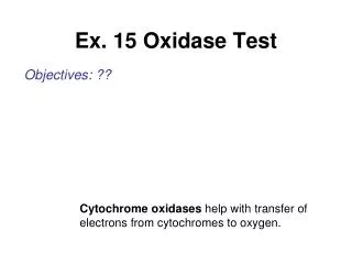 Ex. 15 Oxidase Test