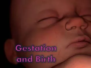 Gestation and Birth