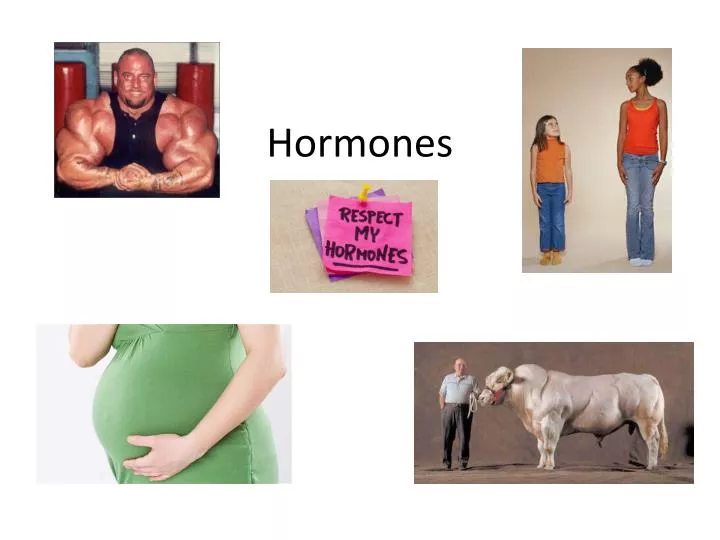 hormones