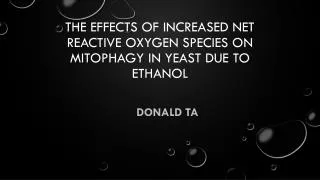 The effects of increased Net reactive oxygen species on mitophagy in Yeast due to ethanol