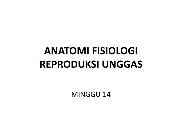 anatomi fisiologi reproduksi unggas