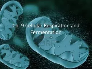 Ch. 9 Cellular Respiration and Fermentation