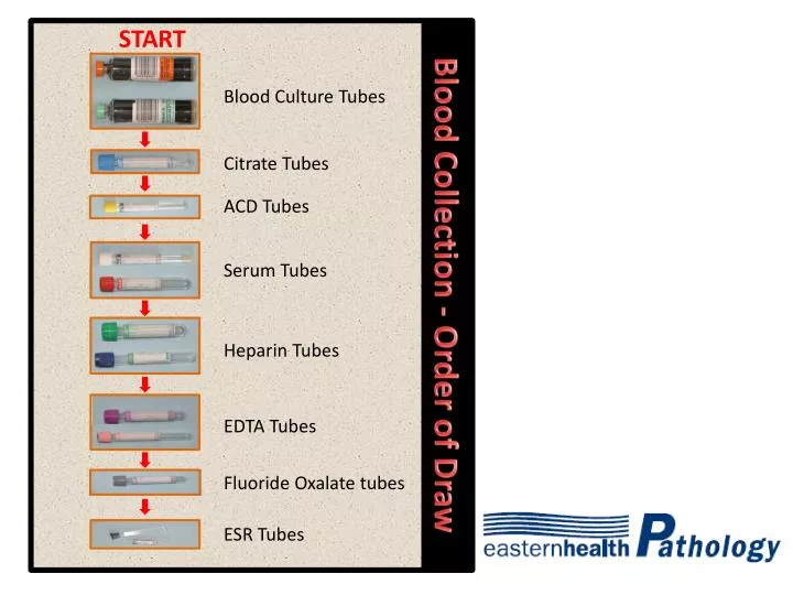 test tube order of draw