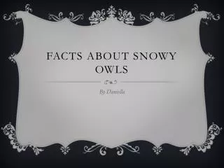 Facts About Snowy Owls