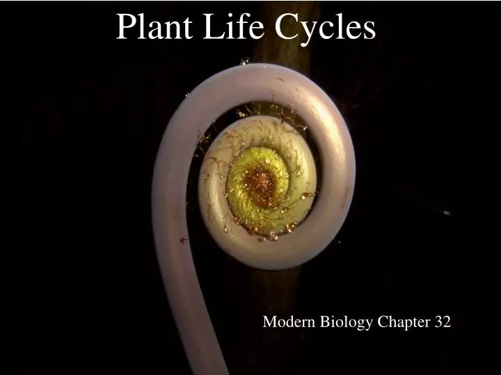 plant life cycles