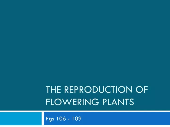 the reproduction of flowering plants