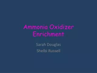 Ammonia Oxidizer Enrichment