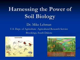 Harnessing the Power of Soil Biology