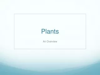 Plants