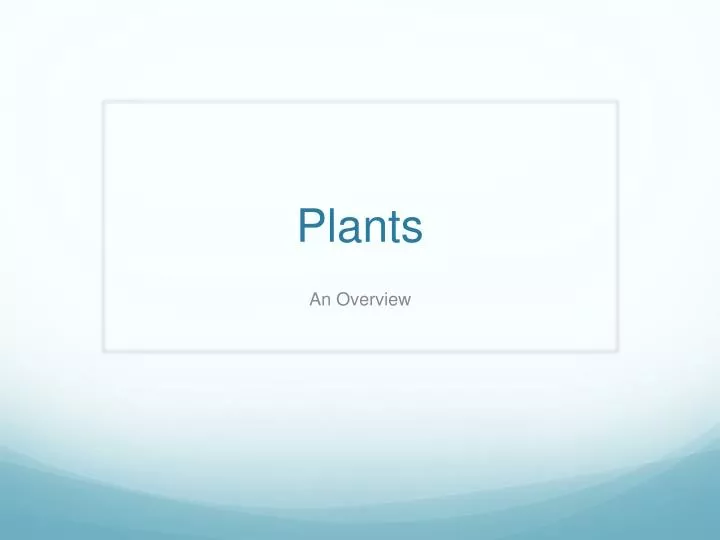 plants