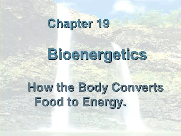 chapter 19 bioenergetics
