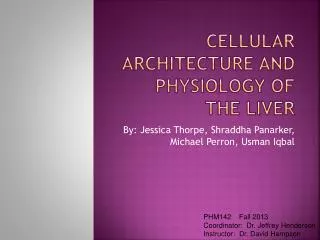 cellular architecture and physiology of the liver