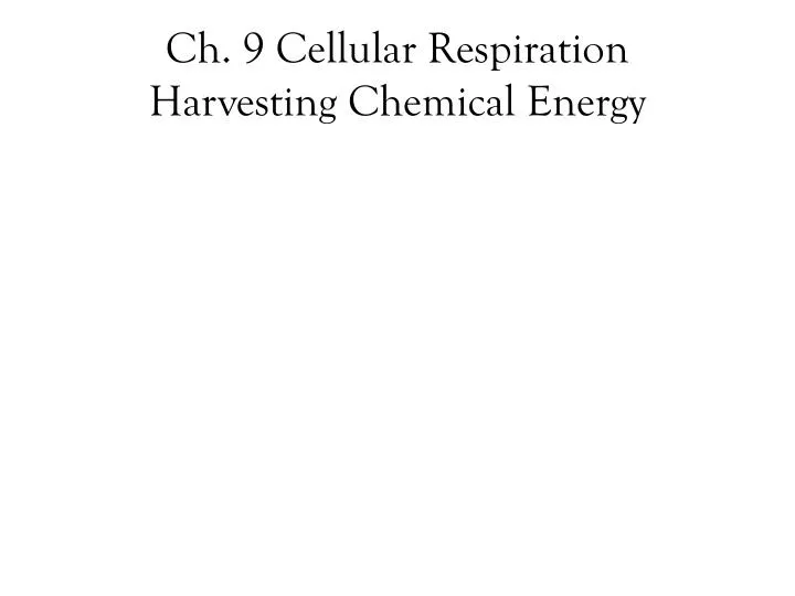 ch 9 cellular respiration harvesting chemical energy