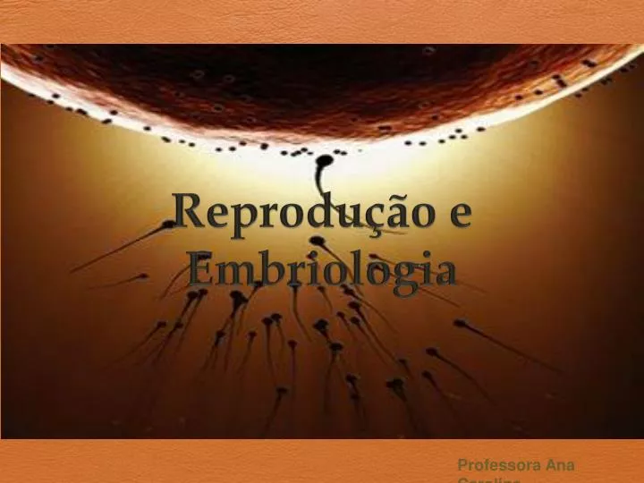 reprodu o e embriologia
