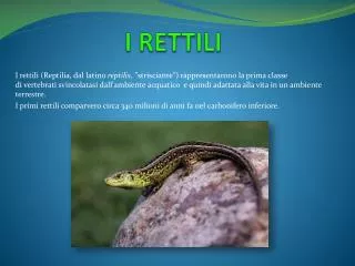 i rettili
