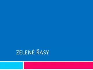 zelen asy