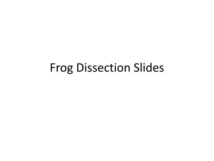 frog dissection slides