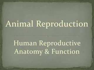 Animal Reproduction Human Reproductive Anatomy &amp; Function